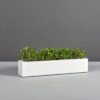 69210.MBW_.Salon_.Angle2_.wplants-1