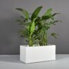69220.MBW_.Badalona.Angle_.wplants