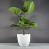 69230.33.MBW_.Wannsee1.wplants