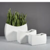 69370.MBW_.Set_.Seoul_.wplants-1