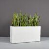 69405.48.MBW_.Hollywood.wplants