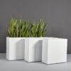 69405.Set_.MBW_.Hollywood.wplants-1