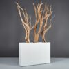 69410.48.MBW_.Delray.wdriftwood-1