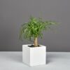 69418.MBW_.Tonto_.wplant