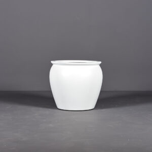Shanghai Fishbowl Planter