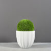 69561.MBW_.Santa_.Barbara.wplants-1