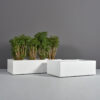 70100.Set_.MBW_.Antwerp1.wplants